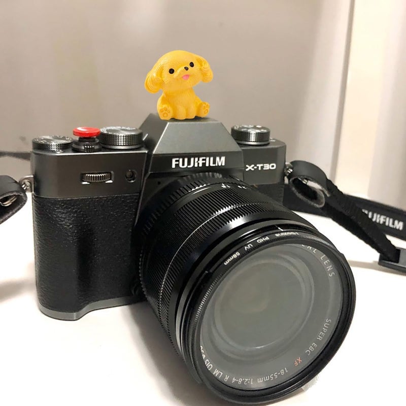 MENGSOOD Camera Hot Shoe Cover, Cute Cap and Protector Compatible With Sony Fujifilm Fuji Canon Nikon Pentax Leical Panasonic (2pcs Golden Retriever + Tactic) - Image 2